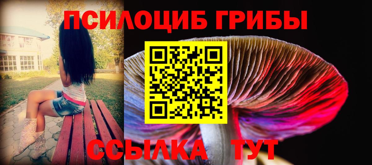 Псилоцибиновые грибы Psilocybe Сочи
